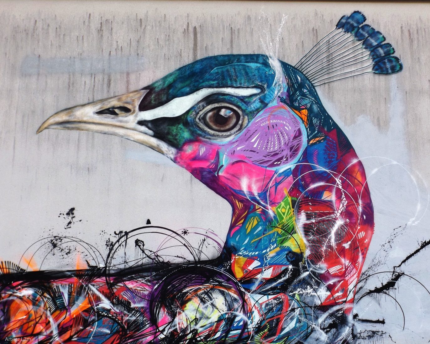 beauty - Street art, Birds, , Longpost