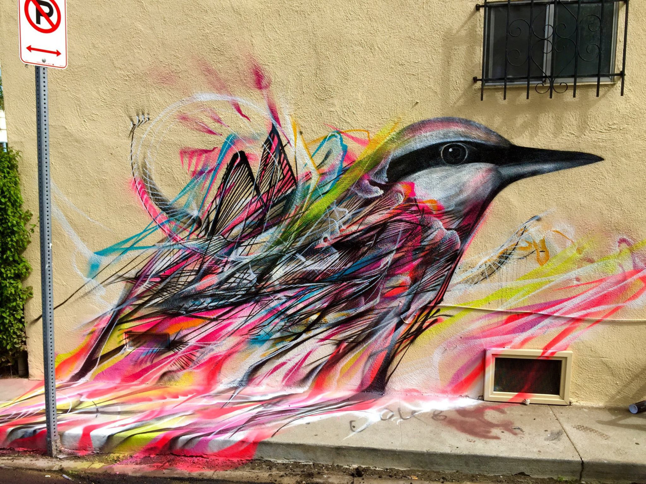 beauty - Street art, Birds, , Longpost