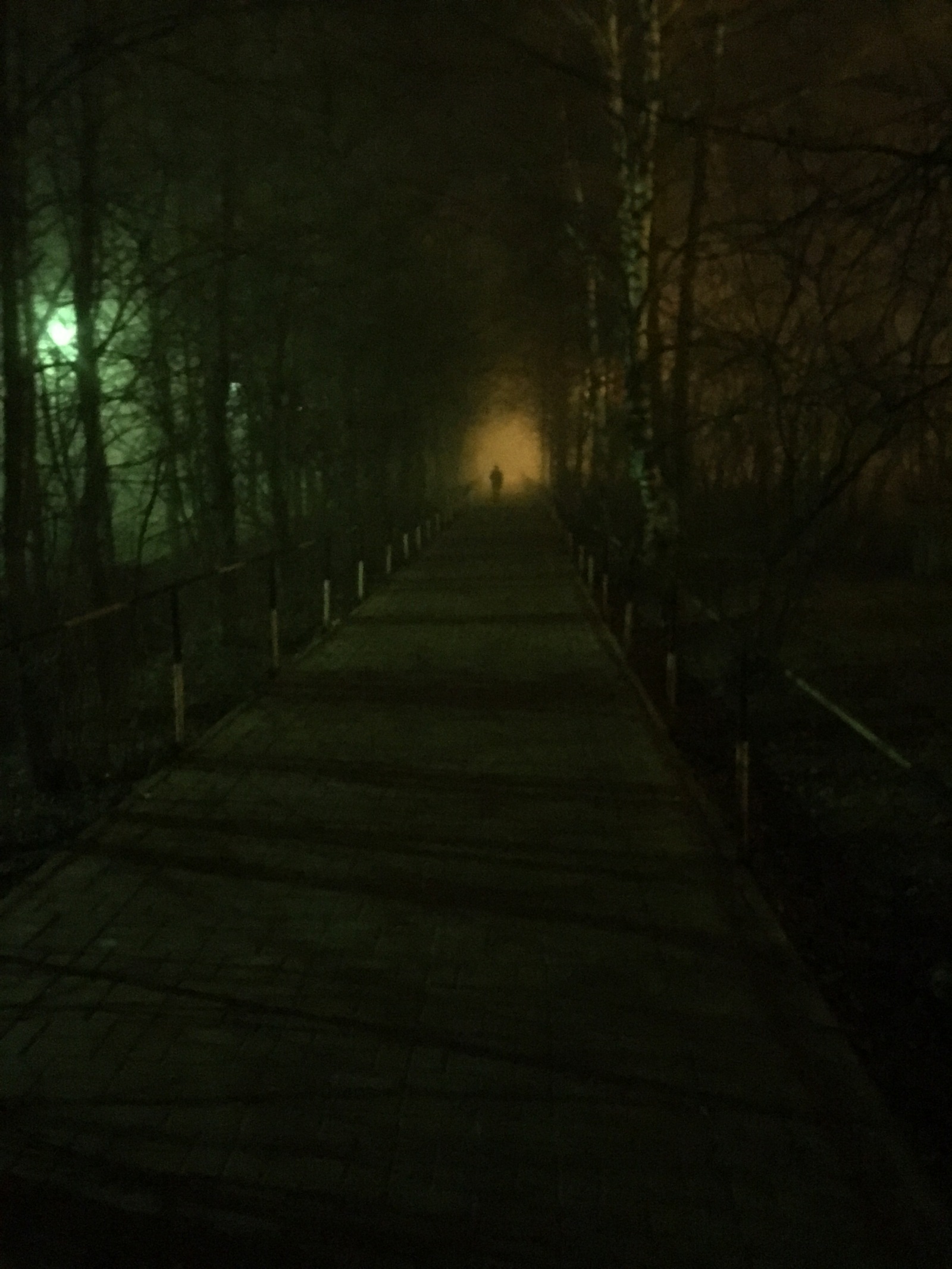 You stomp home like this and don't know what lies ahead, a fairy tale or a horror movie... - My, Road, Fog