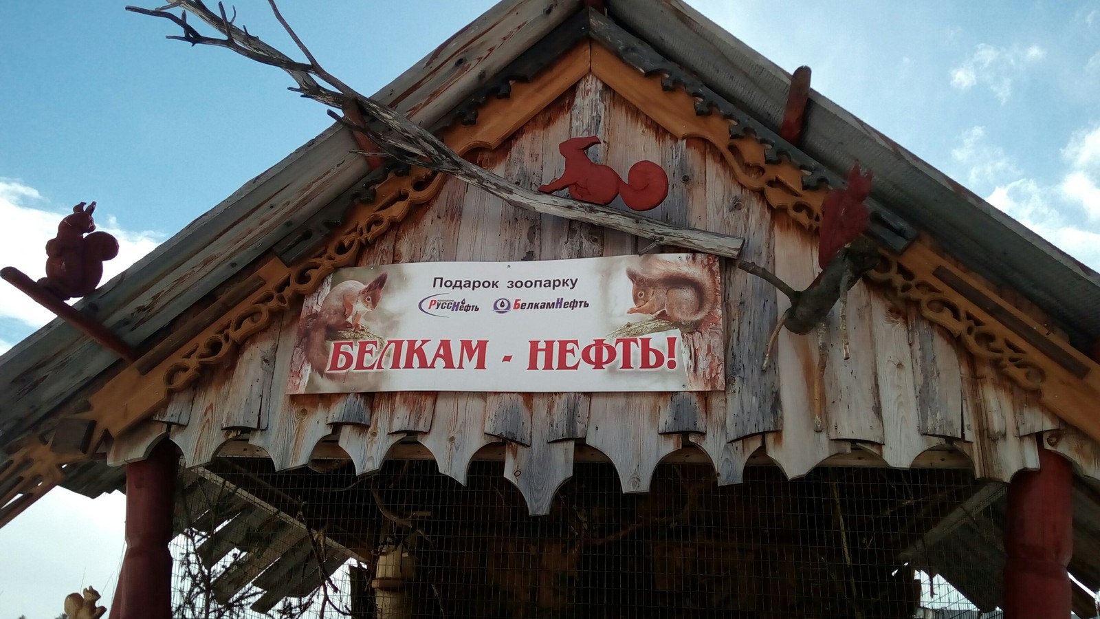 The slogan of the Izhevsk Zoo - My, Zoo, Squirrel, Izhevsk