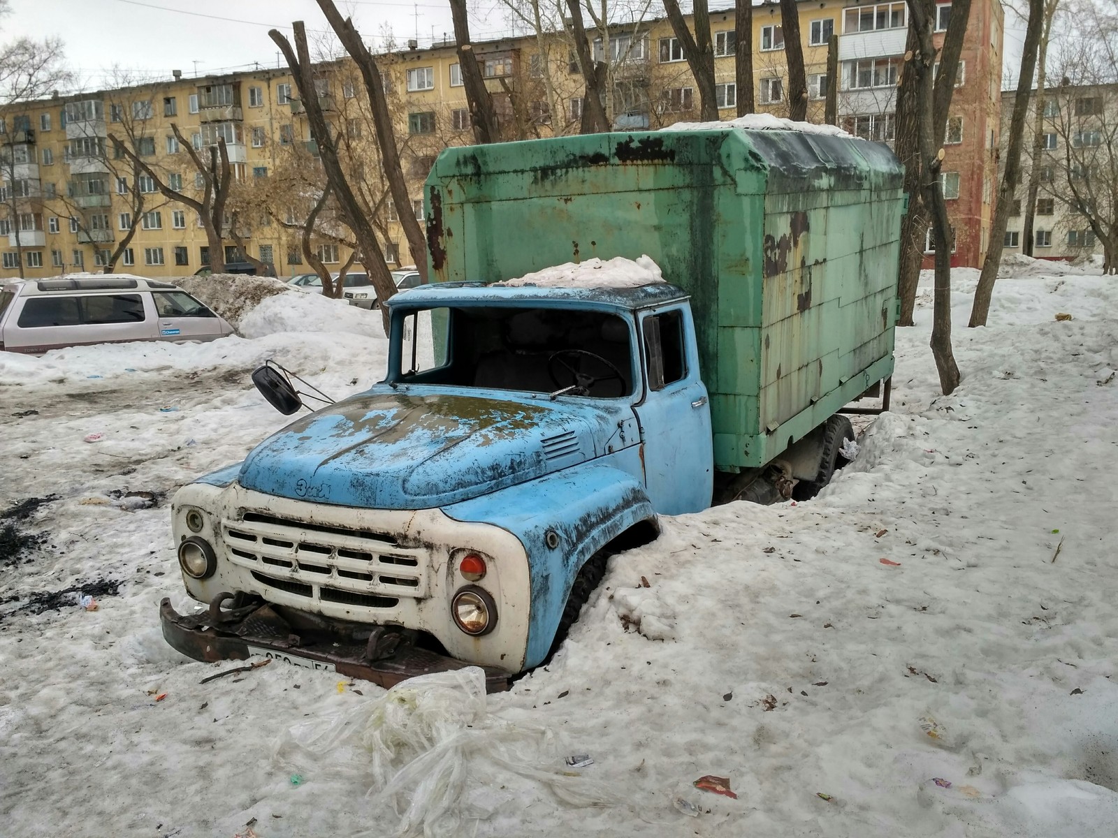 The old horse will not reach the furrow ... - My, Zil, Automotive industry, Power, Snowdrops, Longpost, Snowdrops flowers