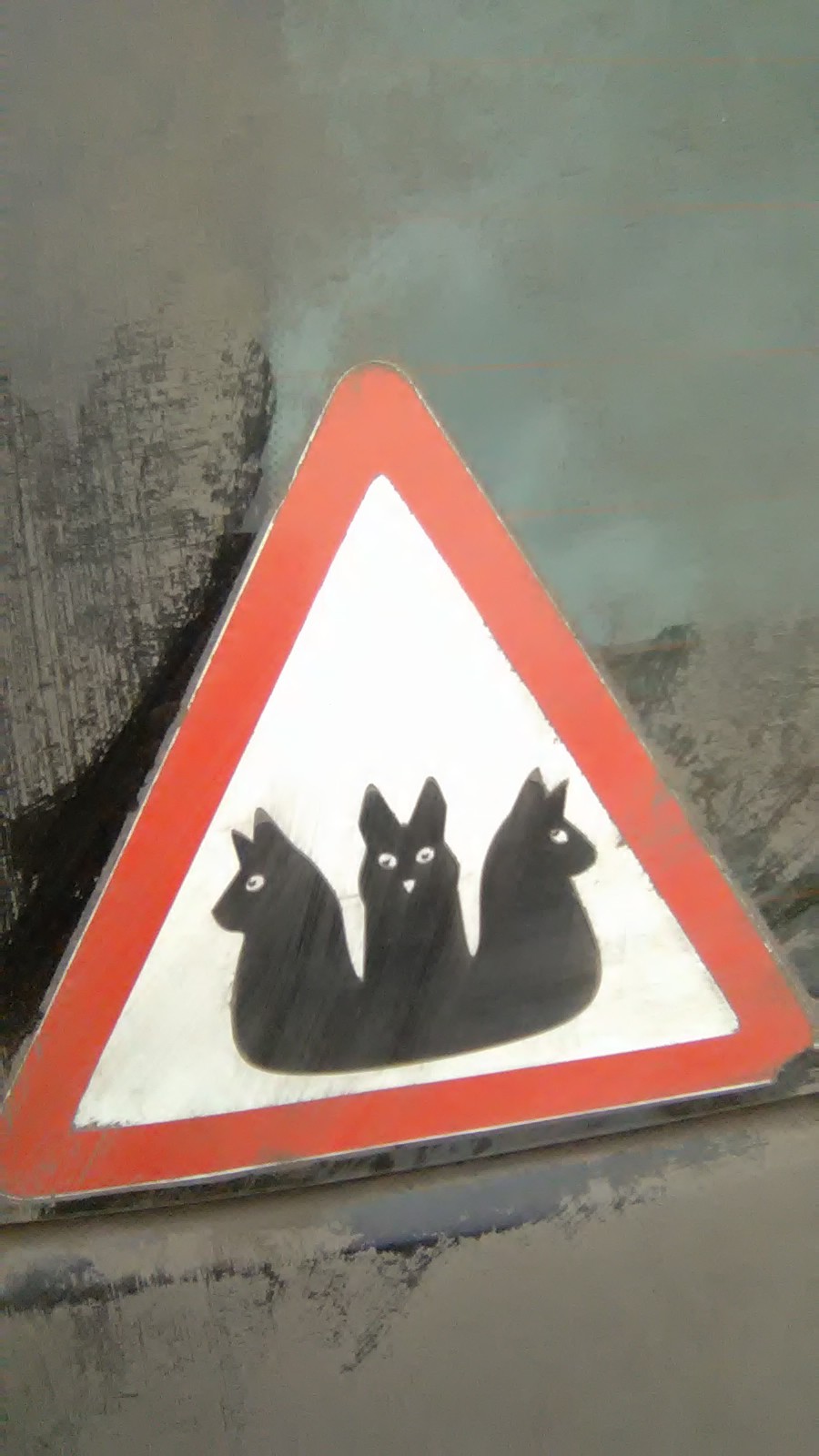 The seals on the sign - My, Auto, Signs, cat