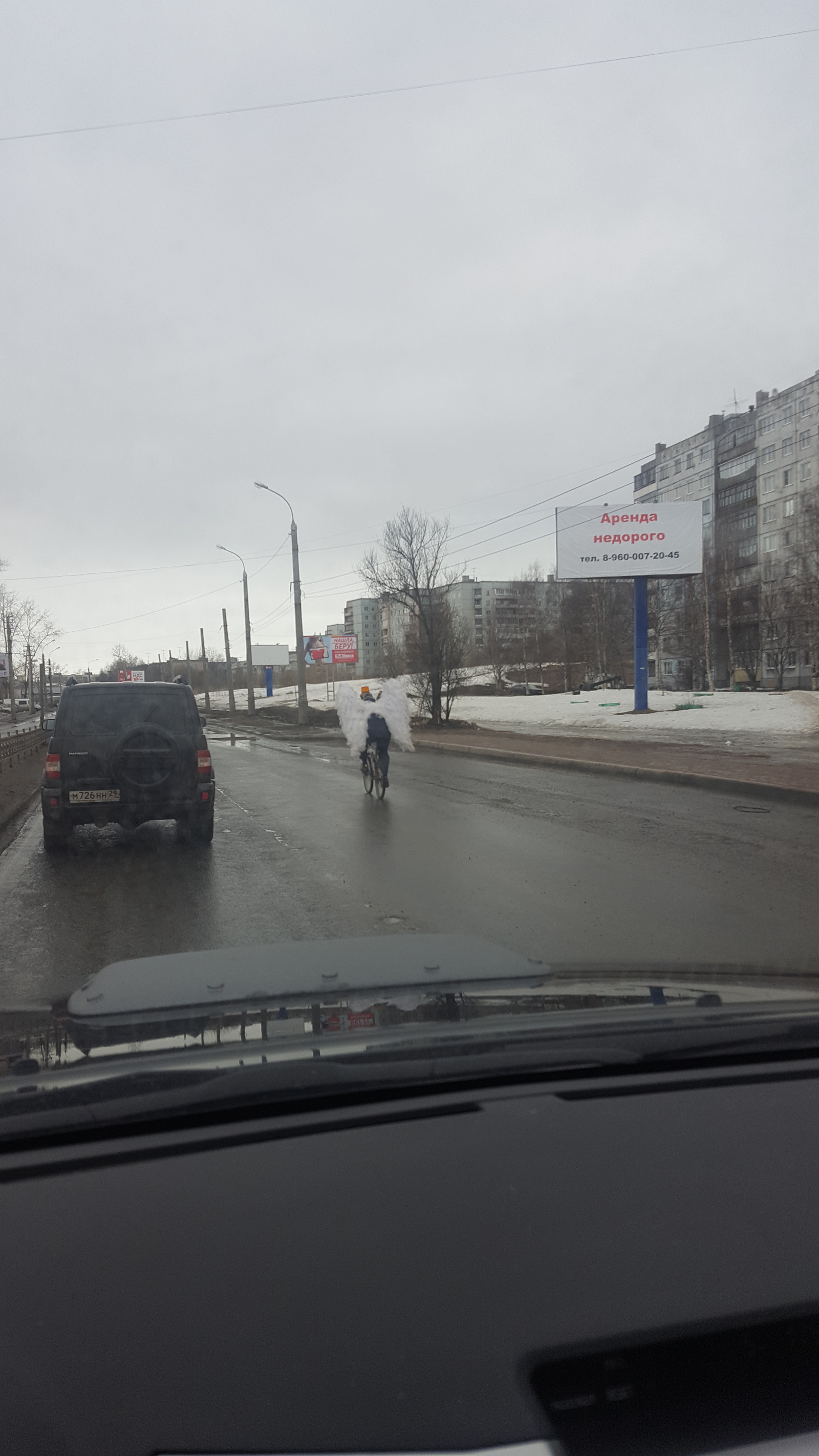 Забавный человек | Пикабу