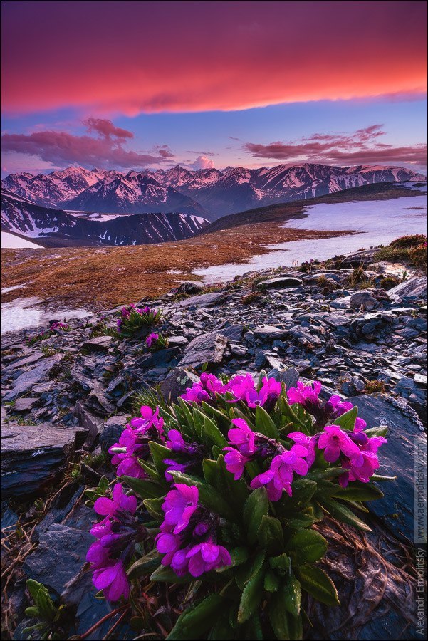Landscapes of Altai - Altai Republic, Longpost, Russia, Gotta go, , Landscape, Altai, Nature, The photo