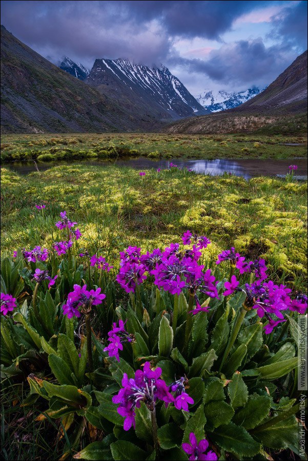 Landscapes of Altai - The photo, Nature, Altai, Landscape, , Gotta go, Russia, Longpost, Altai Republic