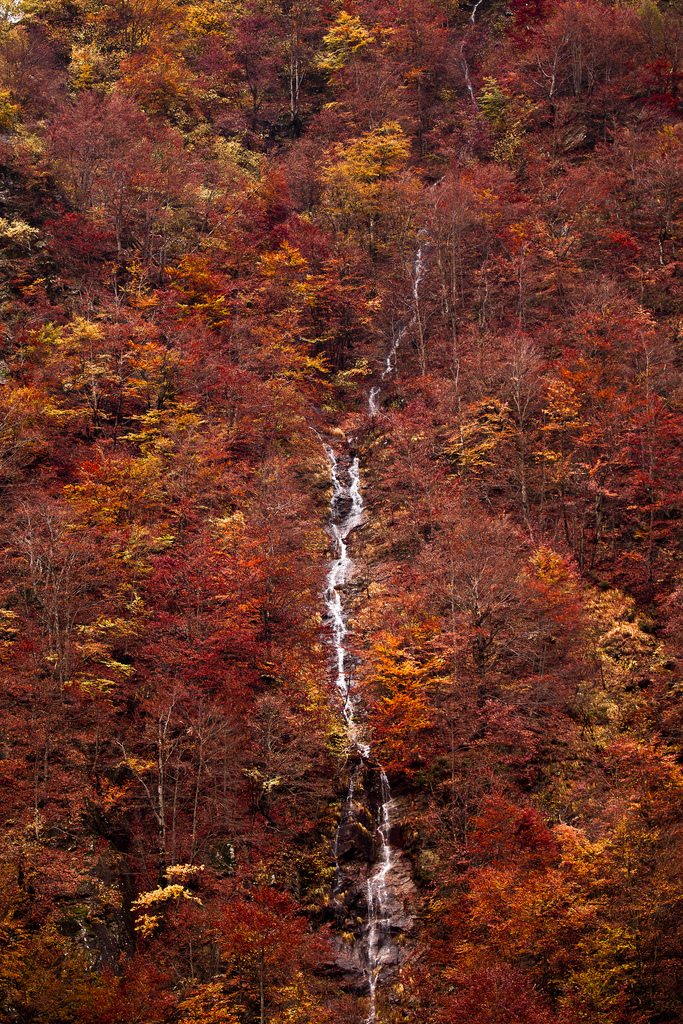 Water down the flying post. - The photo, Waterfall, The rocks, The mountains, Water, Forest, Nature, Longpost, GIF