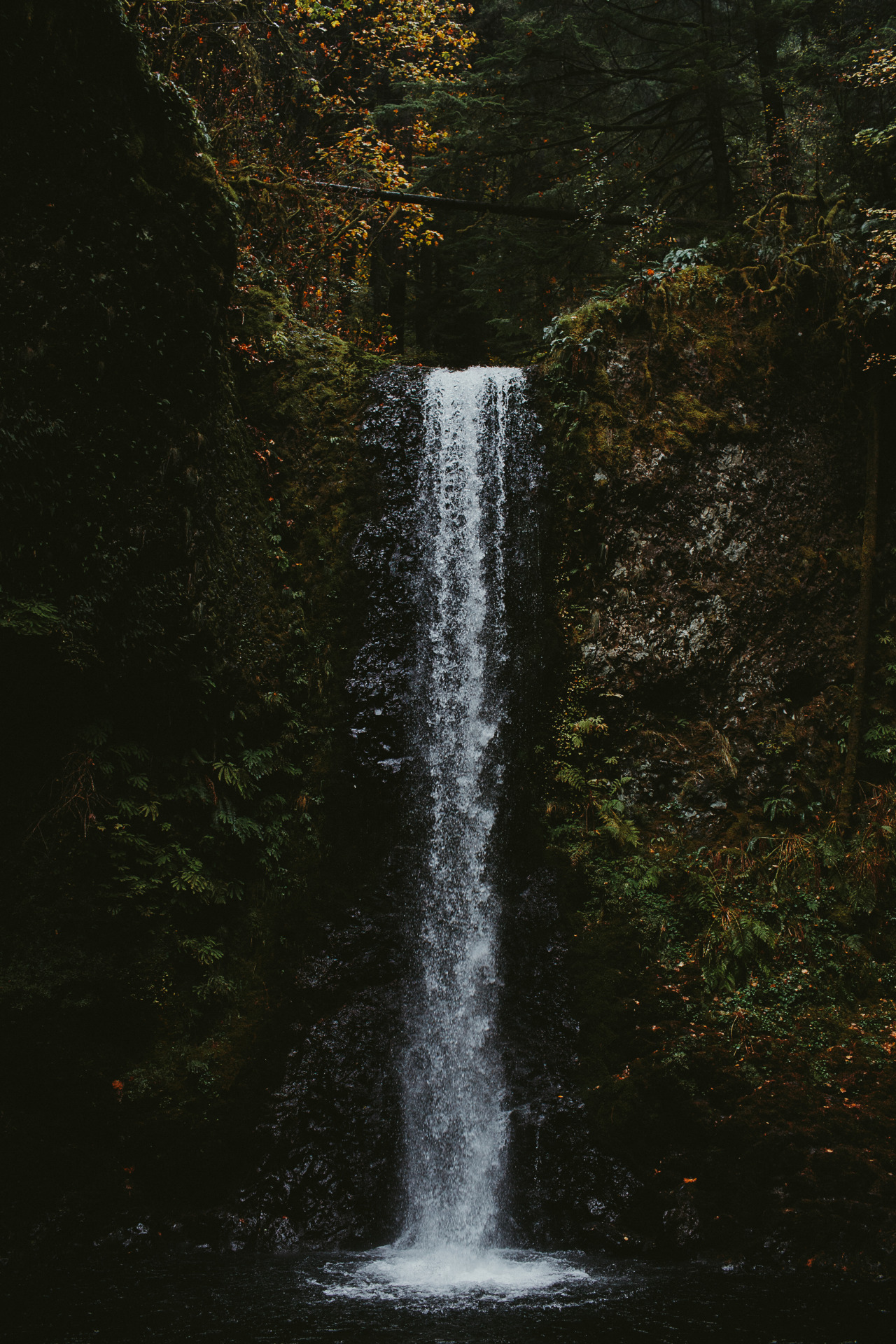 Water down the flying post. - The photo, Waterfall, The rocks, The mountains, Water, Forest, Nature, Longpost, GIF