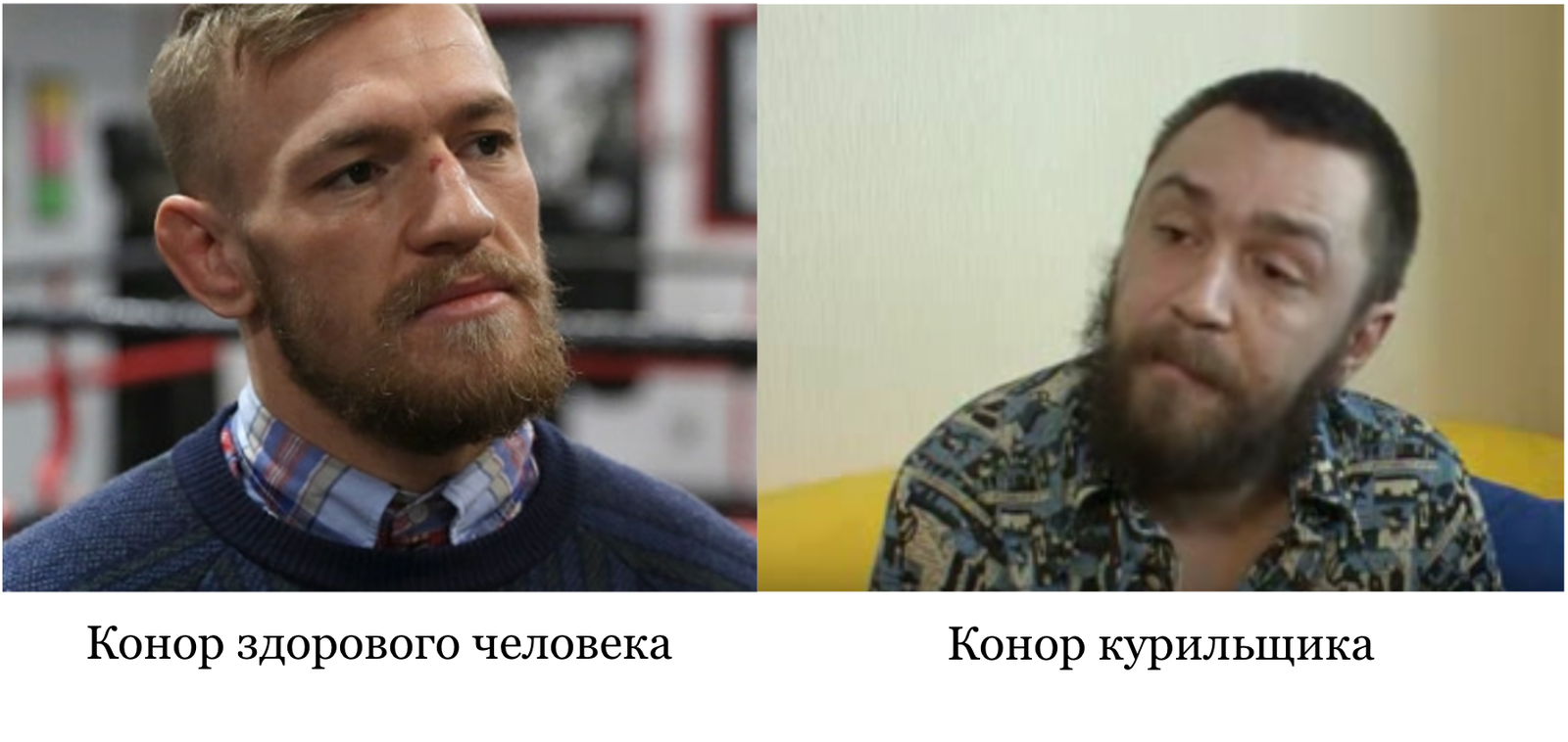 Great fighter - Conor McGregor, Sergei Shnurov, Similarity