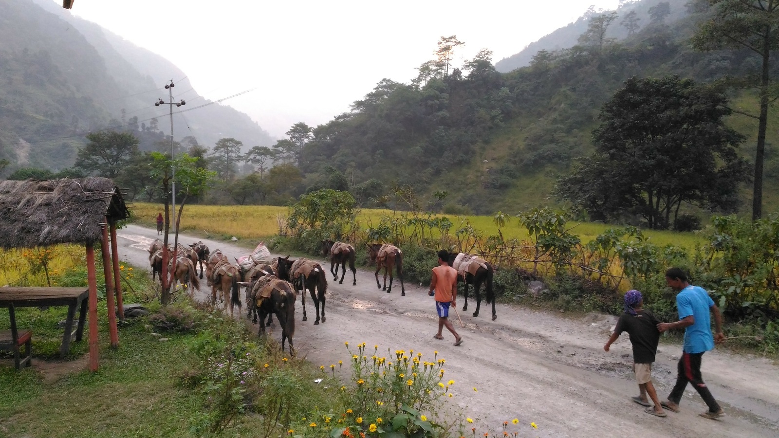 Alone around the dream. Day 1. - Travels, The mountains, Hike, Nepal, Longpost