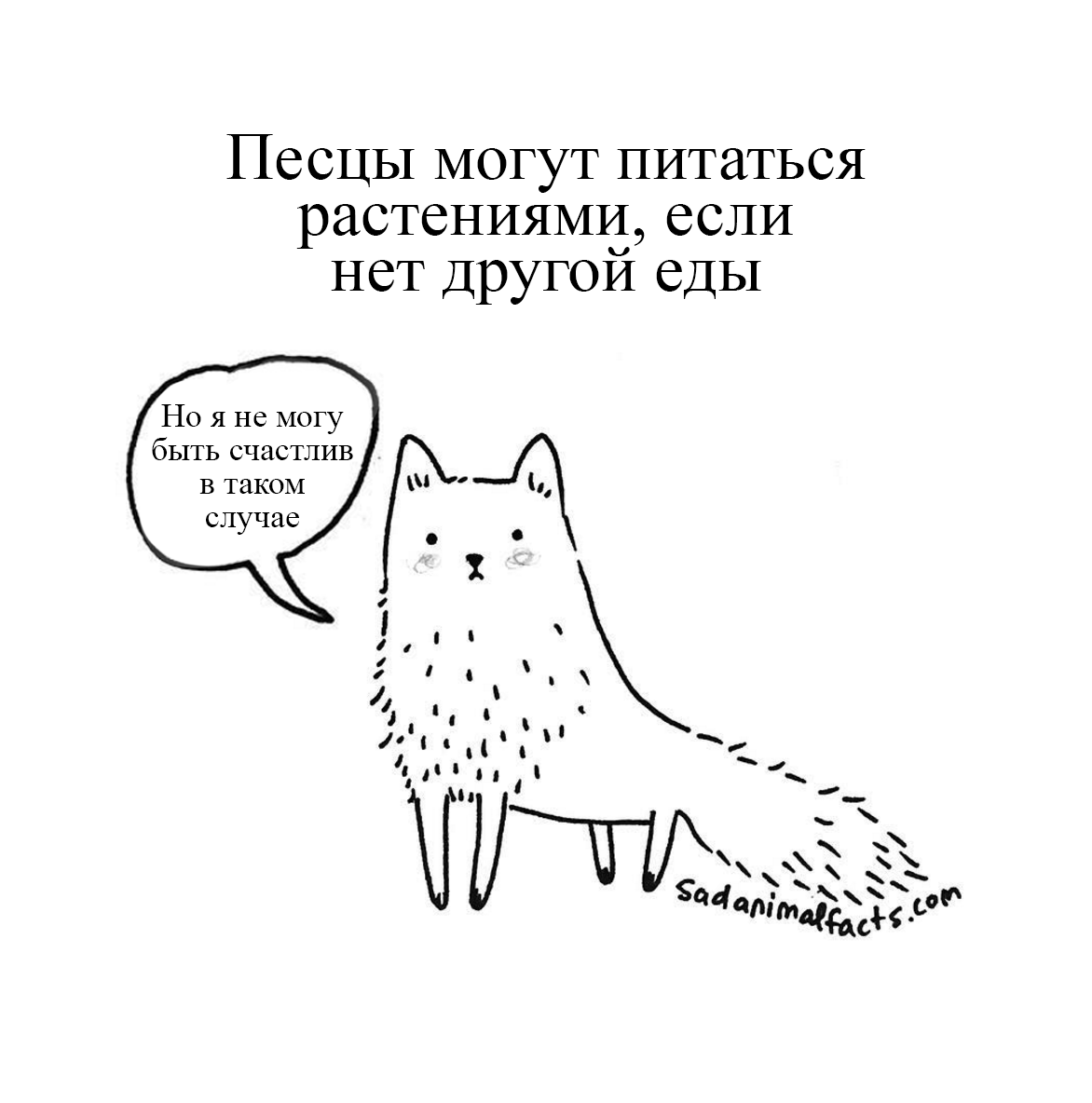 У нас плохие новости... - Sad animal facts, Грустные факты о животных, Brooke Barker, Длиннопост, Перевод