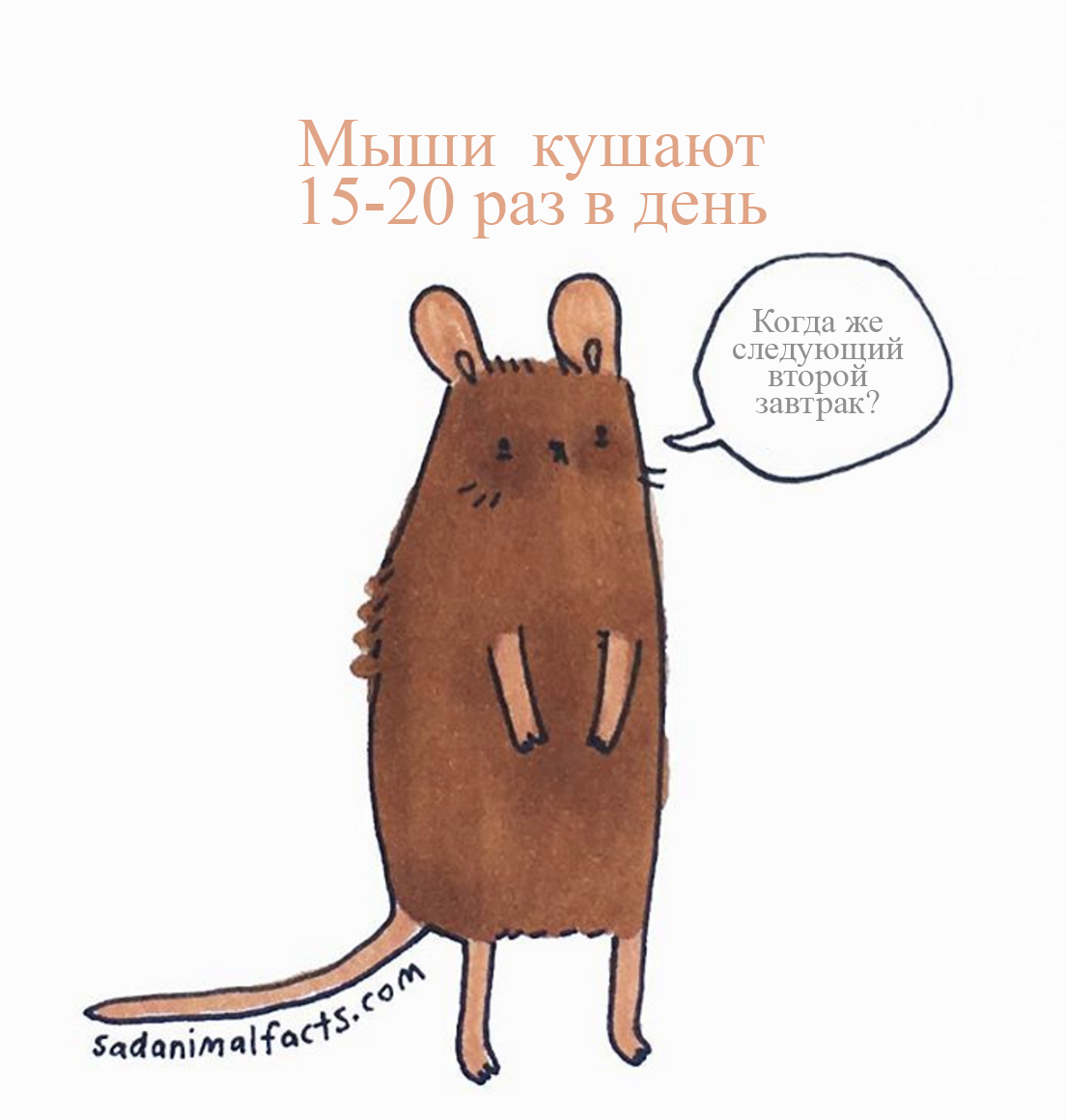 У нас плохие новости... - Sad animal facts, Грустные факты о животных, Brooke Barker, Длиннопост, Перевод