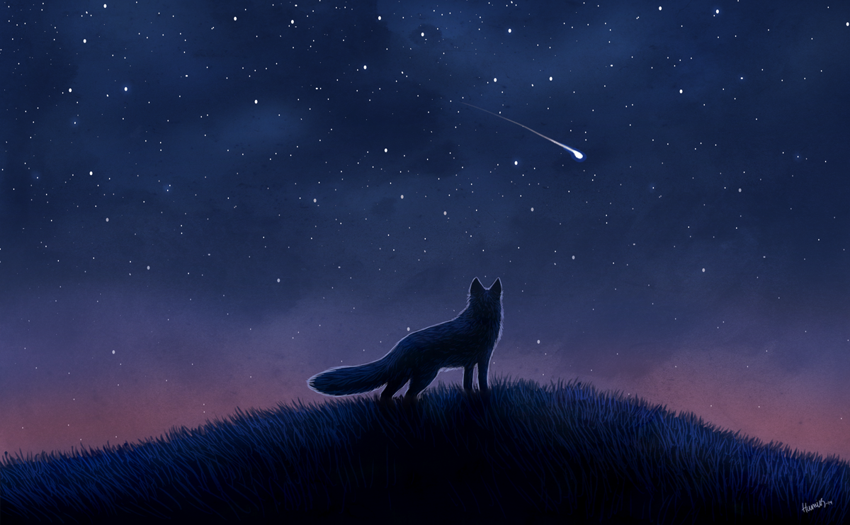 A fox descended into the city from the moon. - My, Text, Story, Story, Fox, Spring, Dog, Space, Longpost