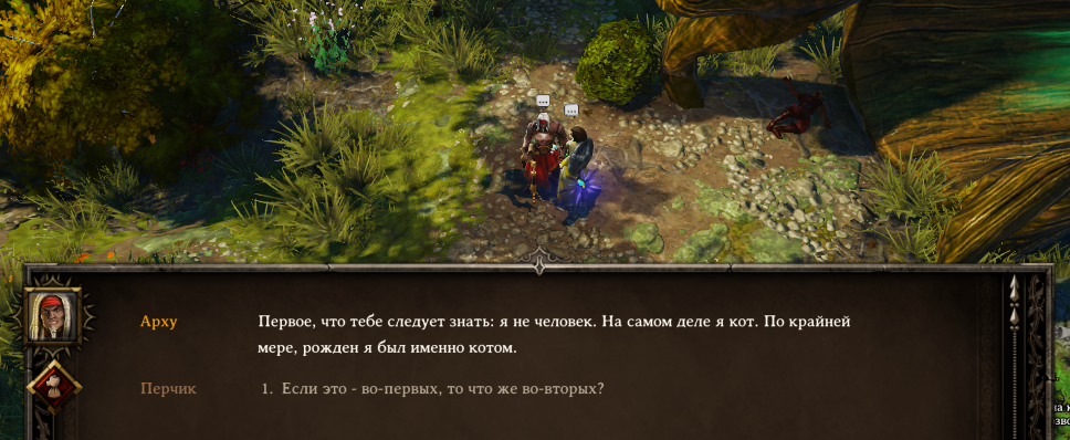 Maniac walkthrough of Divinity: Original Sin. - My, Maniacal passage, Computer games, Divinity: Original Sin, GIF, Video, Longpost