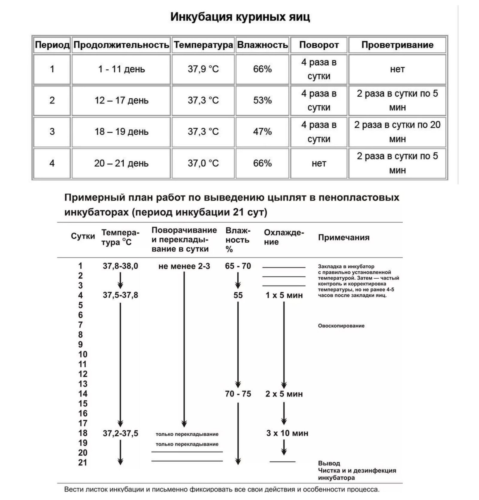 Температура вывода. Таблица инкубации куриных яиц в инкубаторе Несушка. Таблица режима инкубации куриных яиц в инкубаторе Несушка. Температурный режим инкубации куриных яиц таблица. Инкубация куриных яиц таблица температура.