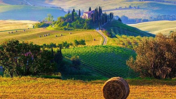 Farm fields in Italy - , Nature
