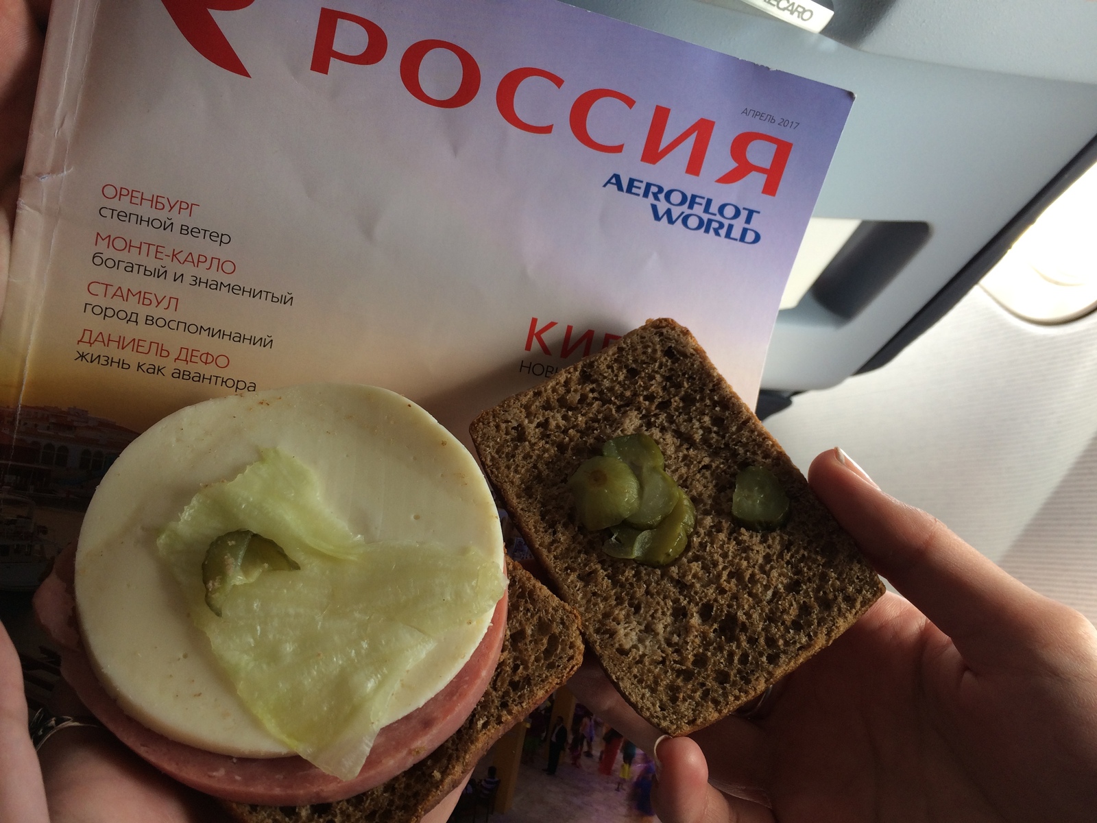 Aeroflot care - My, Airplane, Aeroflot, Russia, Food