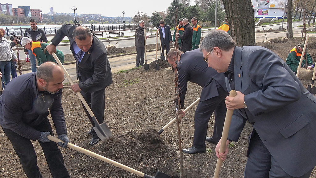 50 young lindens were planted in Donetsk as a sign of friendship between the residents of Lipetsk and Donetsk. - Donetsk, Lipetsk, , friendship, Donbass, Russia, Longpost, Linden