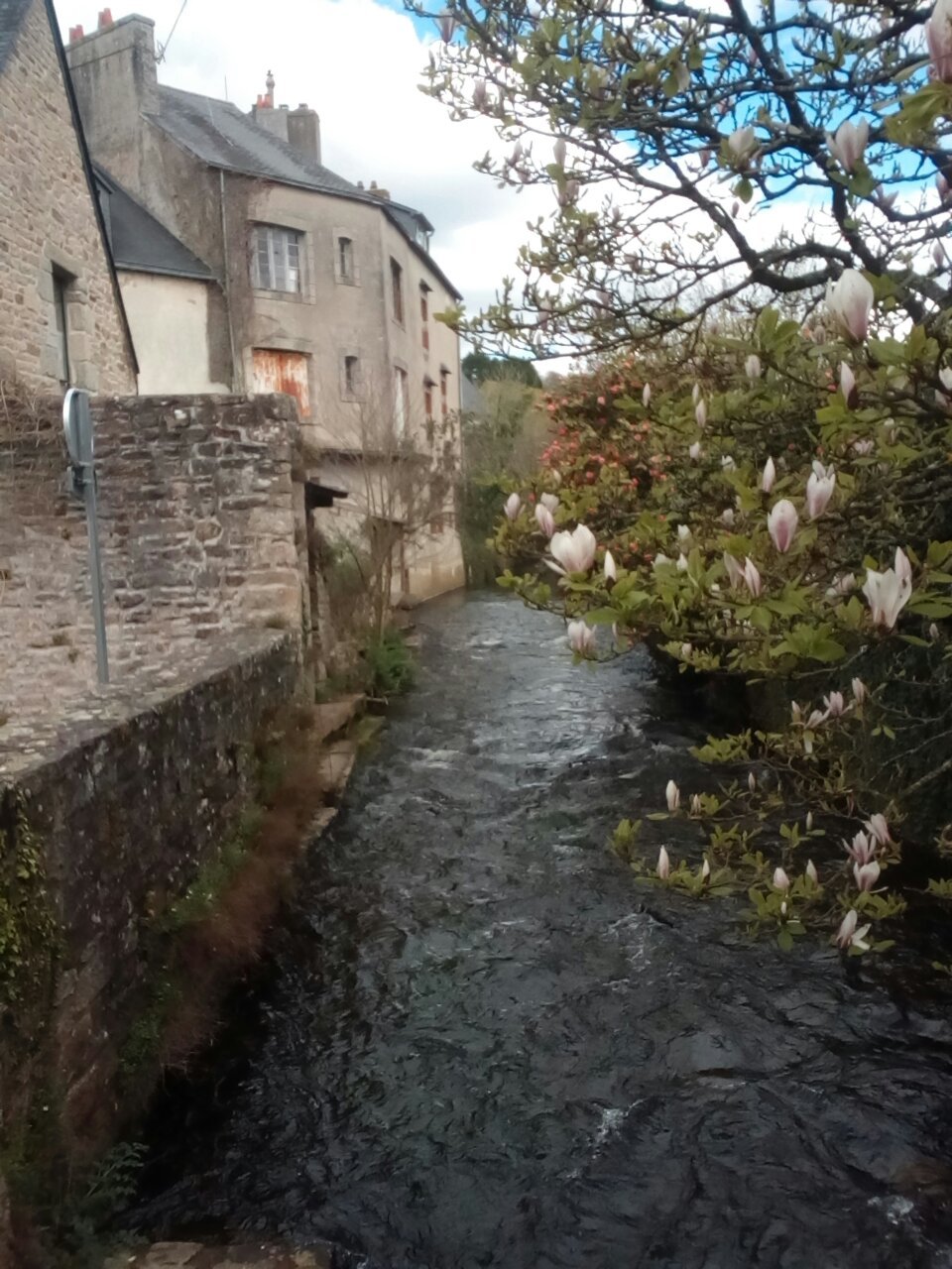 From Brittany with love. - My, France, Brittany, Paul Gauguin, Museum, Beautiful, sights, Text, The photo, Longpost