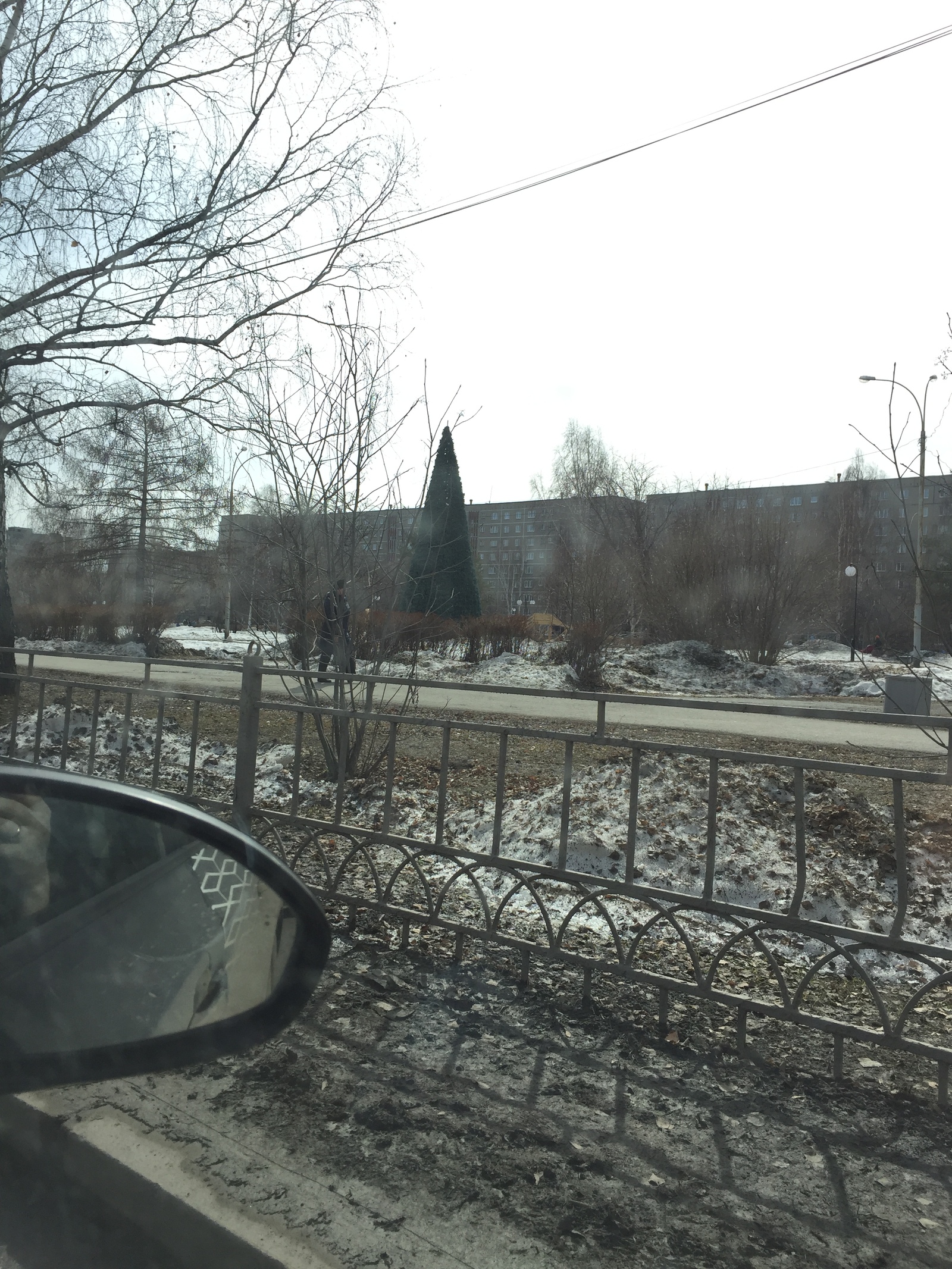 В Екб елки до сих пор стоят: | Пикабу