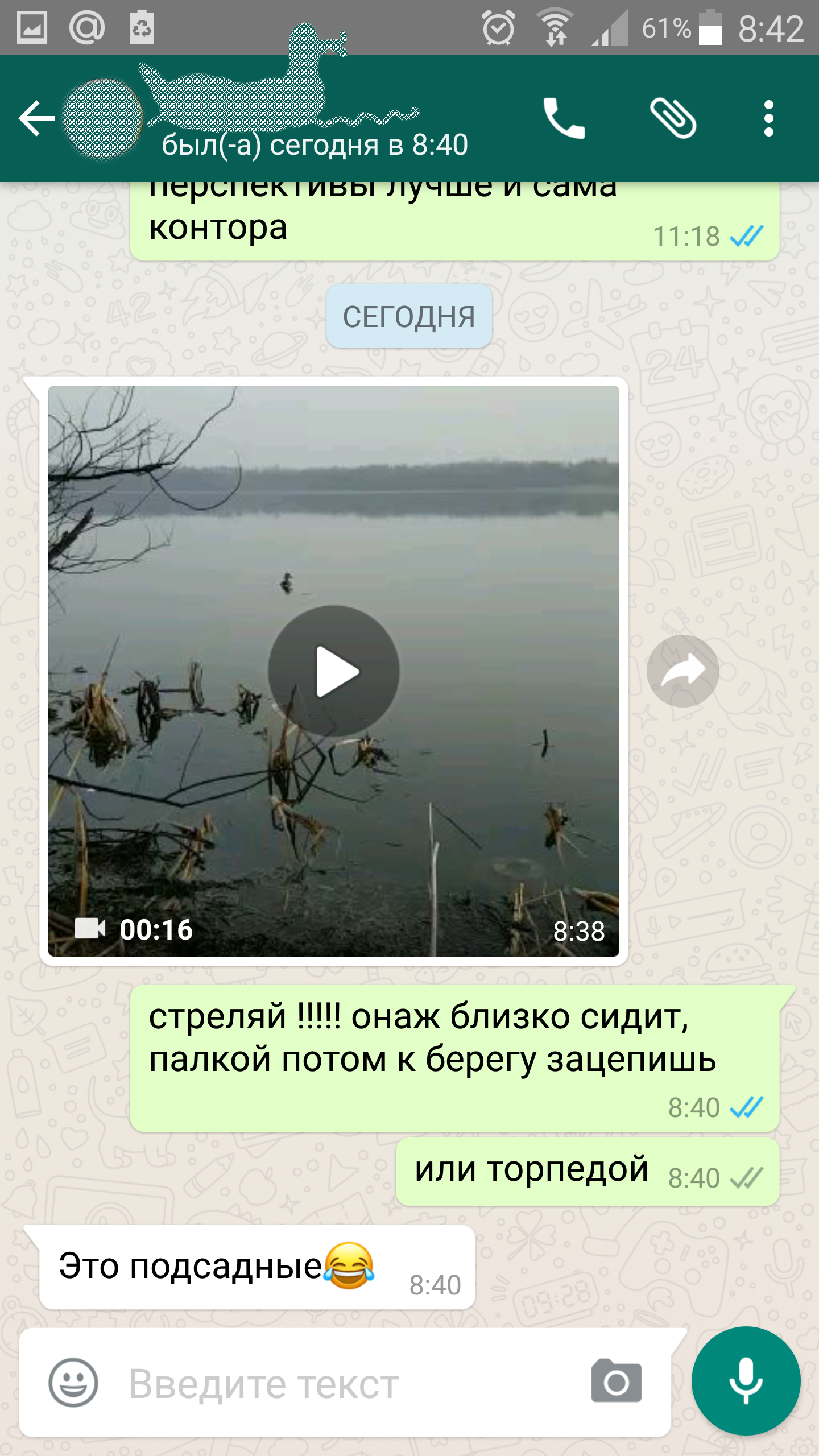 Opening for a duck in the Ryazan region ... Its torpedo, torpedo)) - My, Hunting, Duck, 