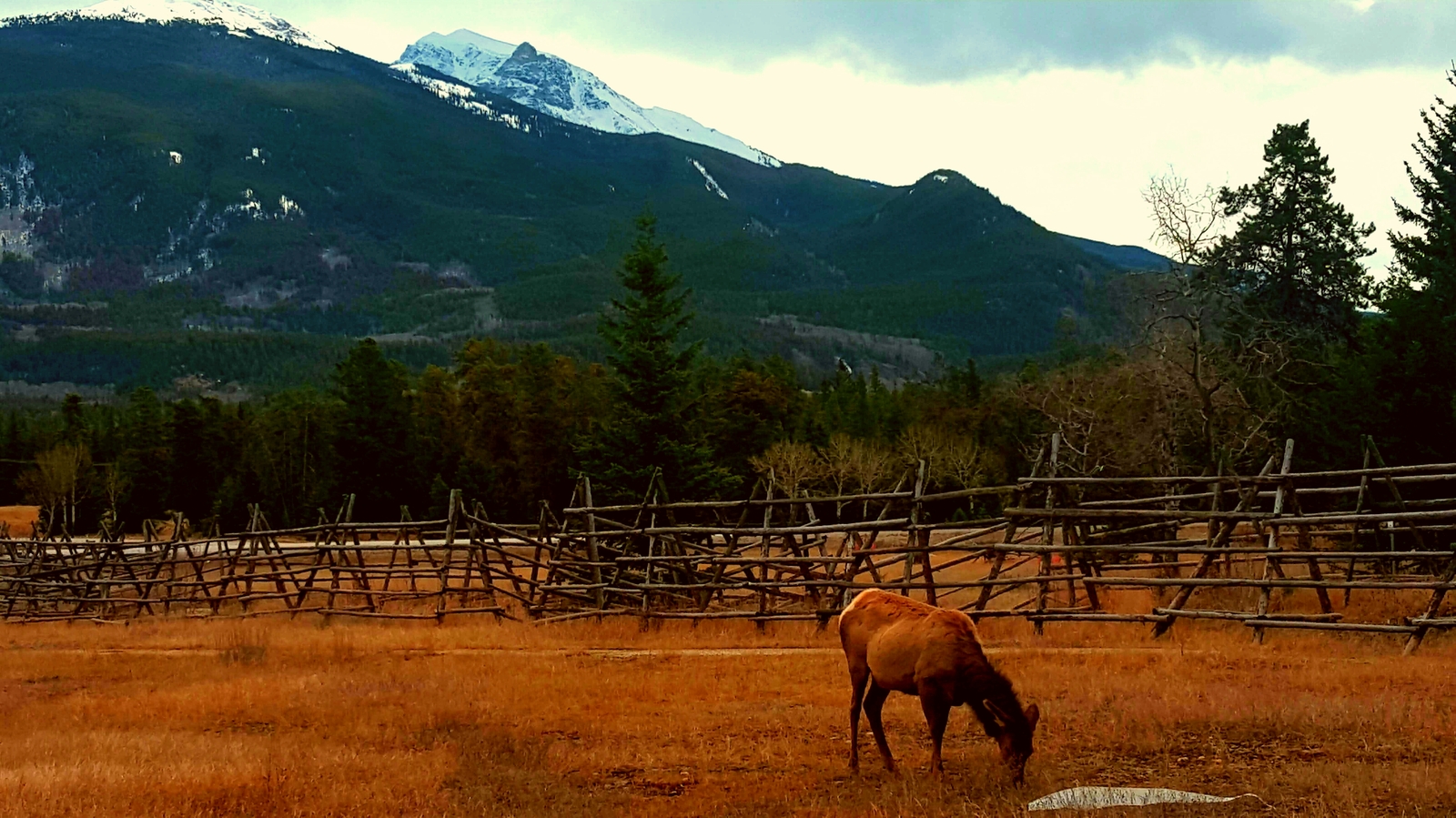 Jasper National Park - My, Nature, The park, Jasper