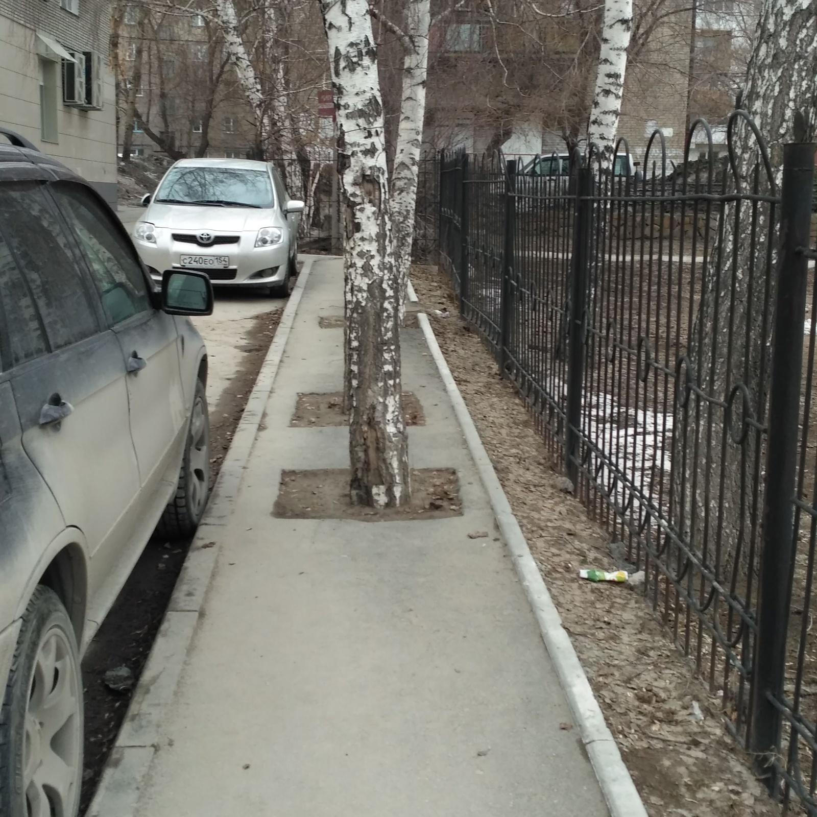 They maneuvered, maneuvered, but did not maneuver. - My, Birch, Asphalt, And so it will do