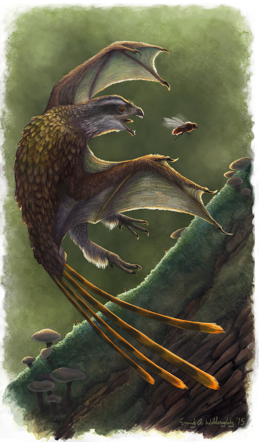 Feathering of dinosaurs. - My, Paleontology, Dinosaurs, Feathers, Longpost