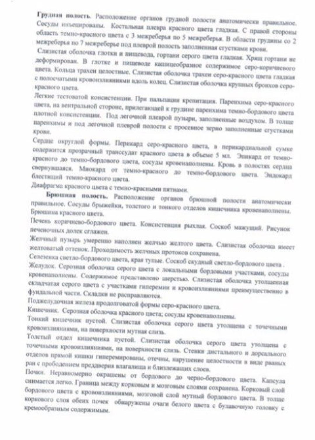 Экспертиза подтвердила, что собак в пермском приюте истязали. Пост содержит акты вскрытия. - Собака, Пермь, Приют, Жестокость, Длиннопост