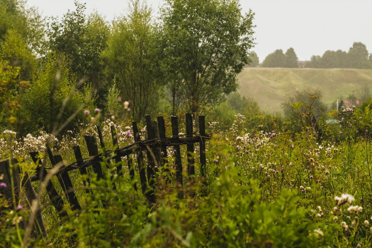 Mariinsky Posad. - My, Chuvashia, Russia, Nature, The photo, Longpost