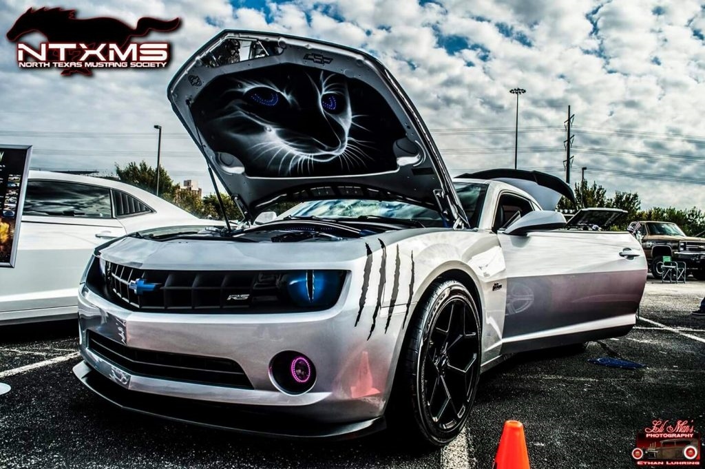 Chevrolet camaro - Chevrolet, Chevrolet camaro, Airbrushing, cat, Longpost