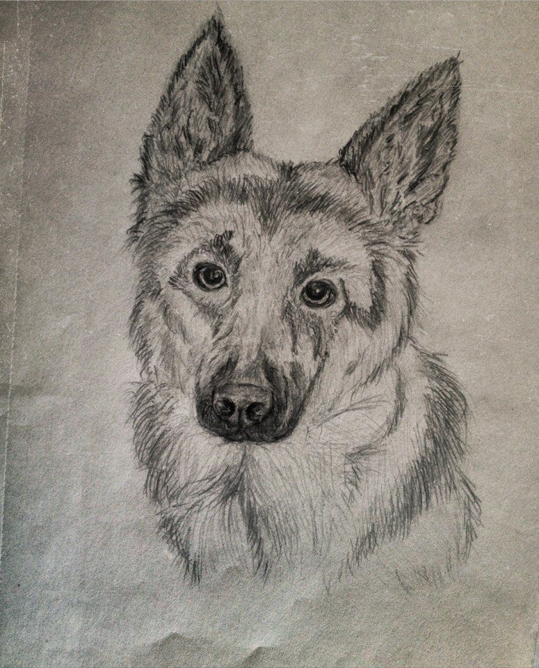 Shepherd. sketch - My, Sheepdog, Dog, Drawing, Sketch, Hobby, Creation