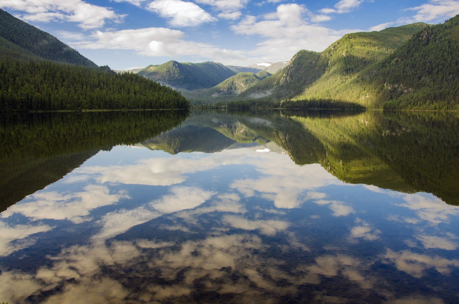 Western Sayans - , , Khakassia, Russia, The photo, Greenery, Landscape, Gotta go, Longpost