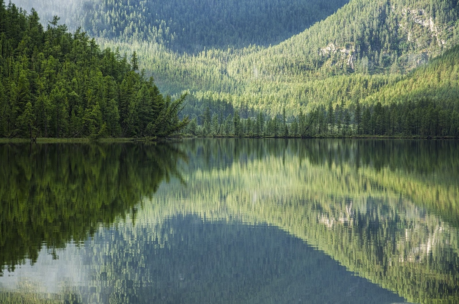 Western Sayans - , , Khakassia, Russia, The photo, Greenery, Landscape, Gotta go, Longpost