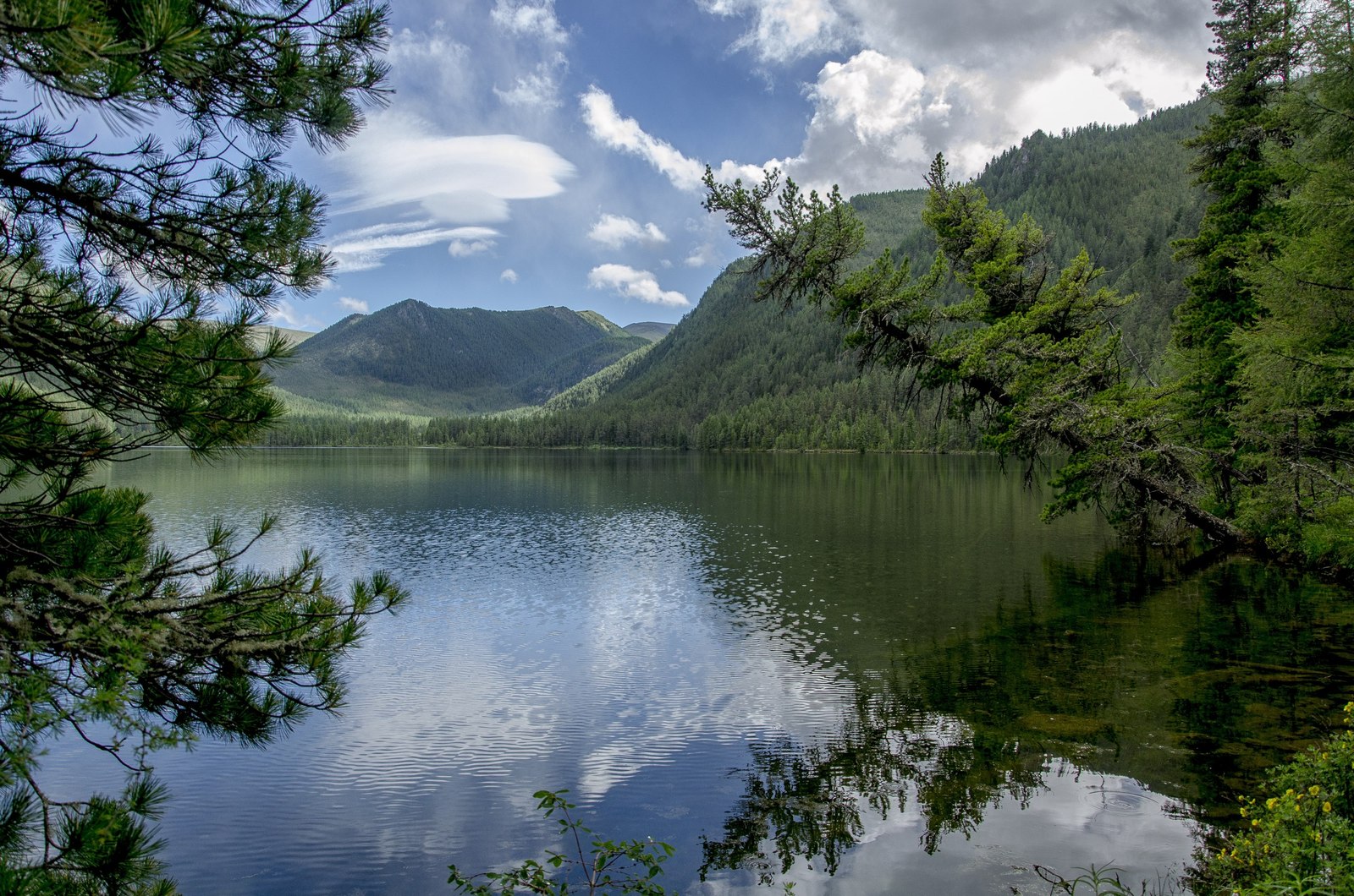 Western Sayans - , , Khakassia, Russia, The photo, Greenery, Landscape, Gotta go, Longpost