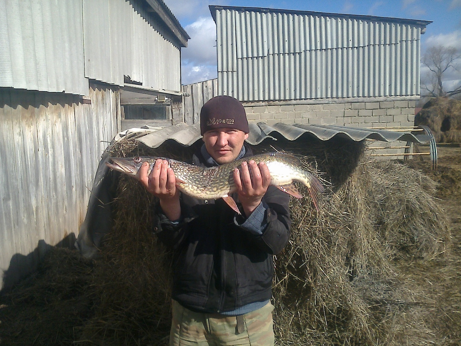 Today's catch - My, Carp, Pike