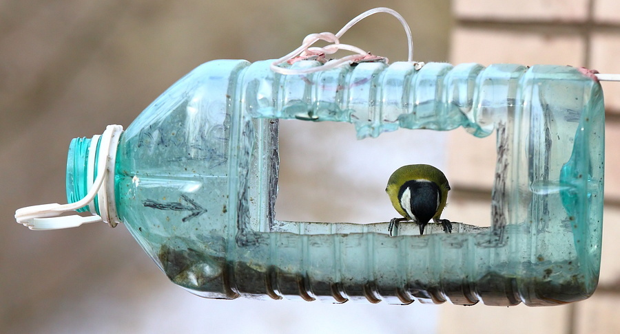Кормушка для птиц из пластиковой бутылки: пошаговая инструкция