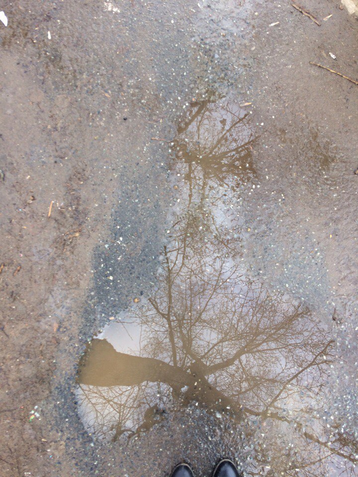 Oh roads! - Road, The photo, Spring, Puddle, My