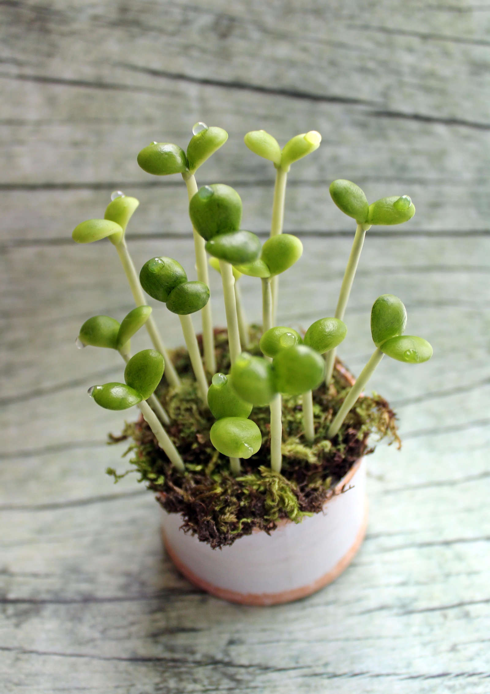 spring sprouts - My, Polymer clay, Лепка, , Longpost