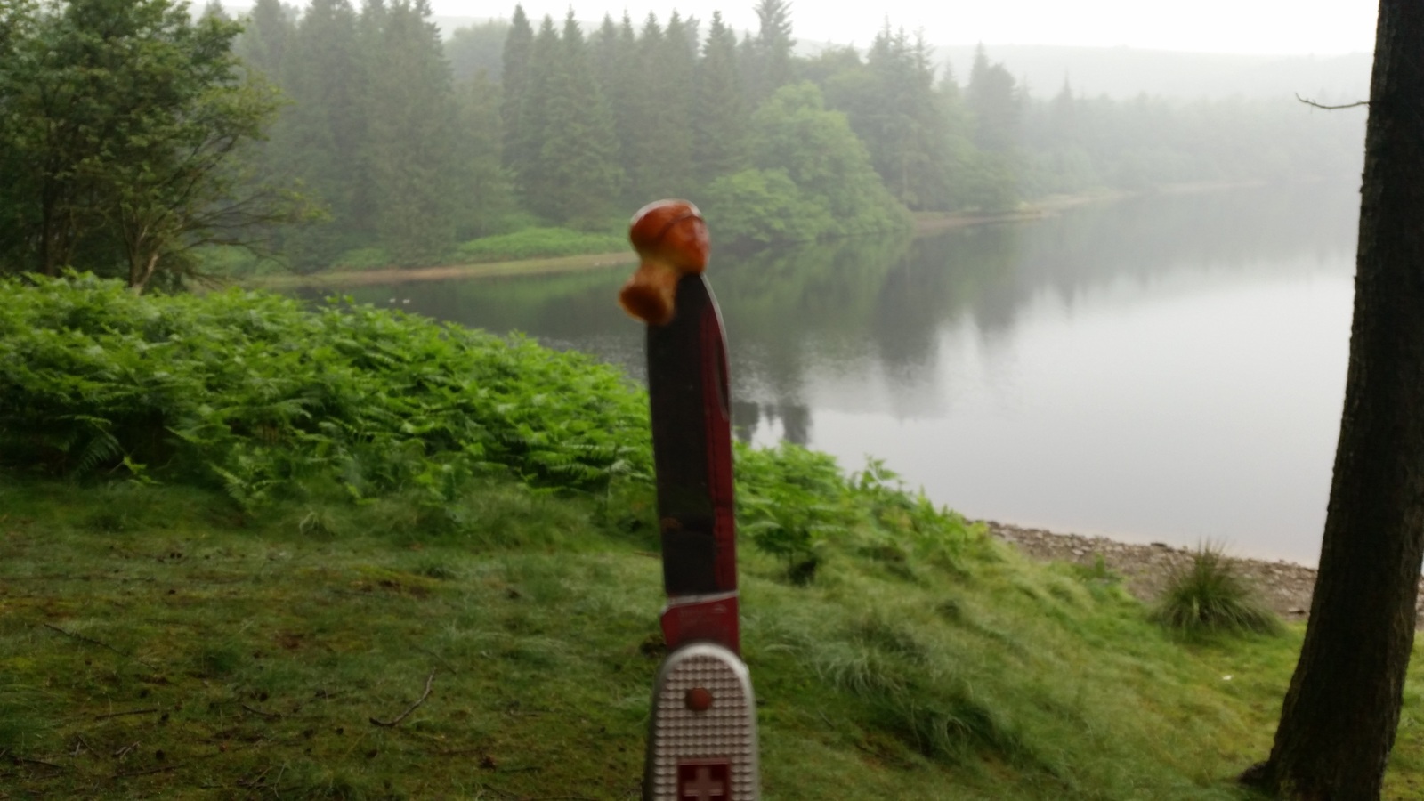 Trekking in the Peak District, UK - My, Hike, Great Britain, Western, Yorkshire, Nature, Forest, Lake, Tourism, Longpost