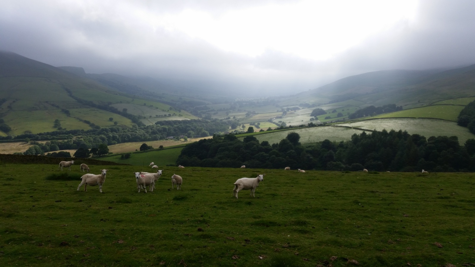 Trekking in the Peak District, UK - My, Hike, Great Britain, Western, Yorkshire, Nature, Forest, Lake, Tourism, Longpost