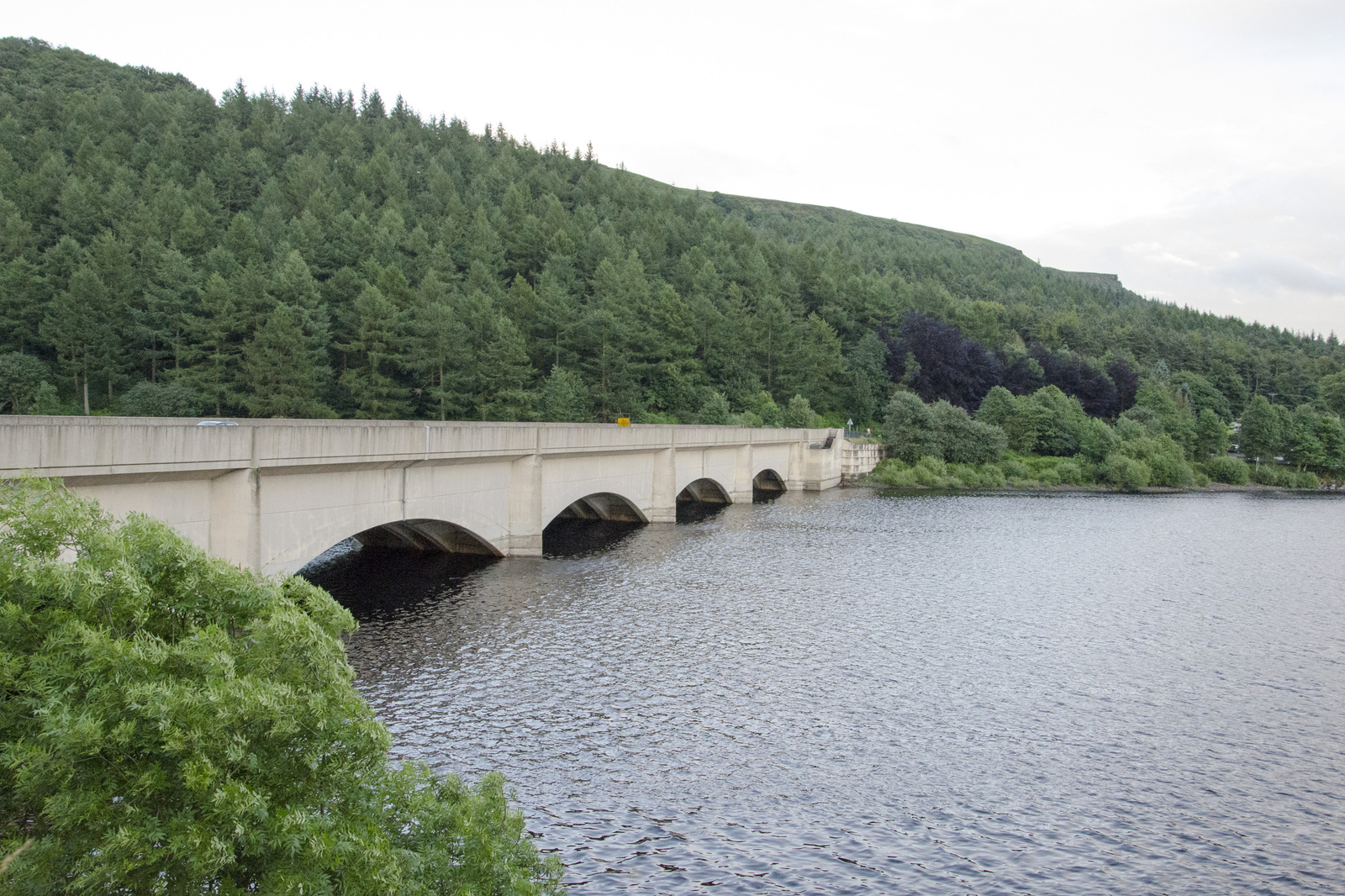 Trekking in the Peak District, UK - My, Hike, Great Britain, Western, Yorkshire, Nature, Forest, Lake, Tourism, Longpost