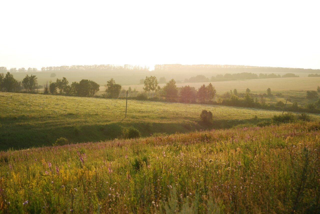 Just a little more patience... - My, Nikon, Ryazan, Summer, Field, Heat, Evening