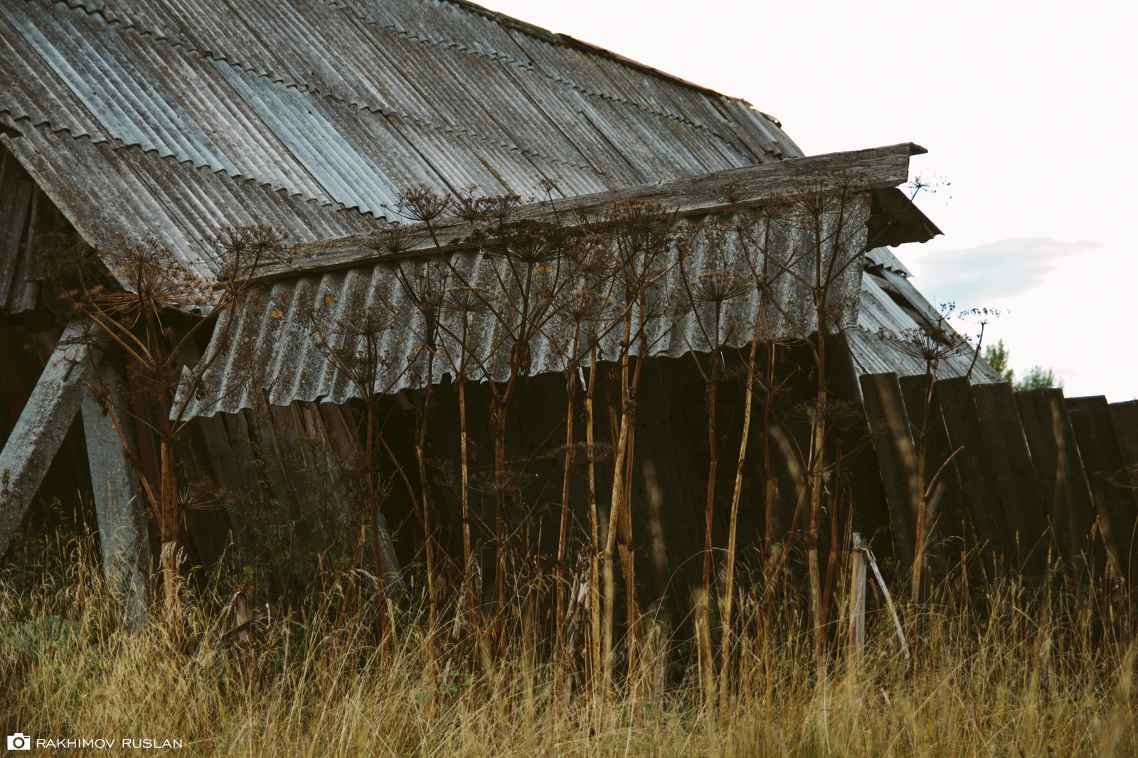 Abandoned houses in the Perm region - My, Russia, The photo, Abandoned, Perm Territory, Village, Longpost