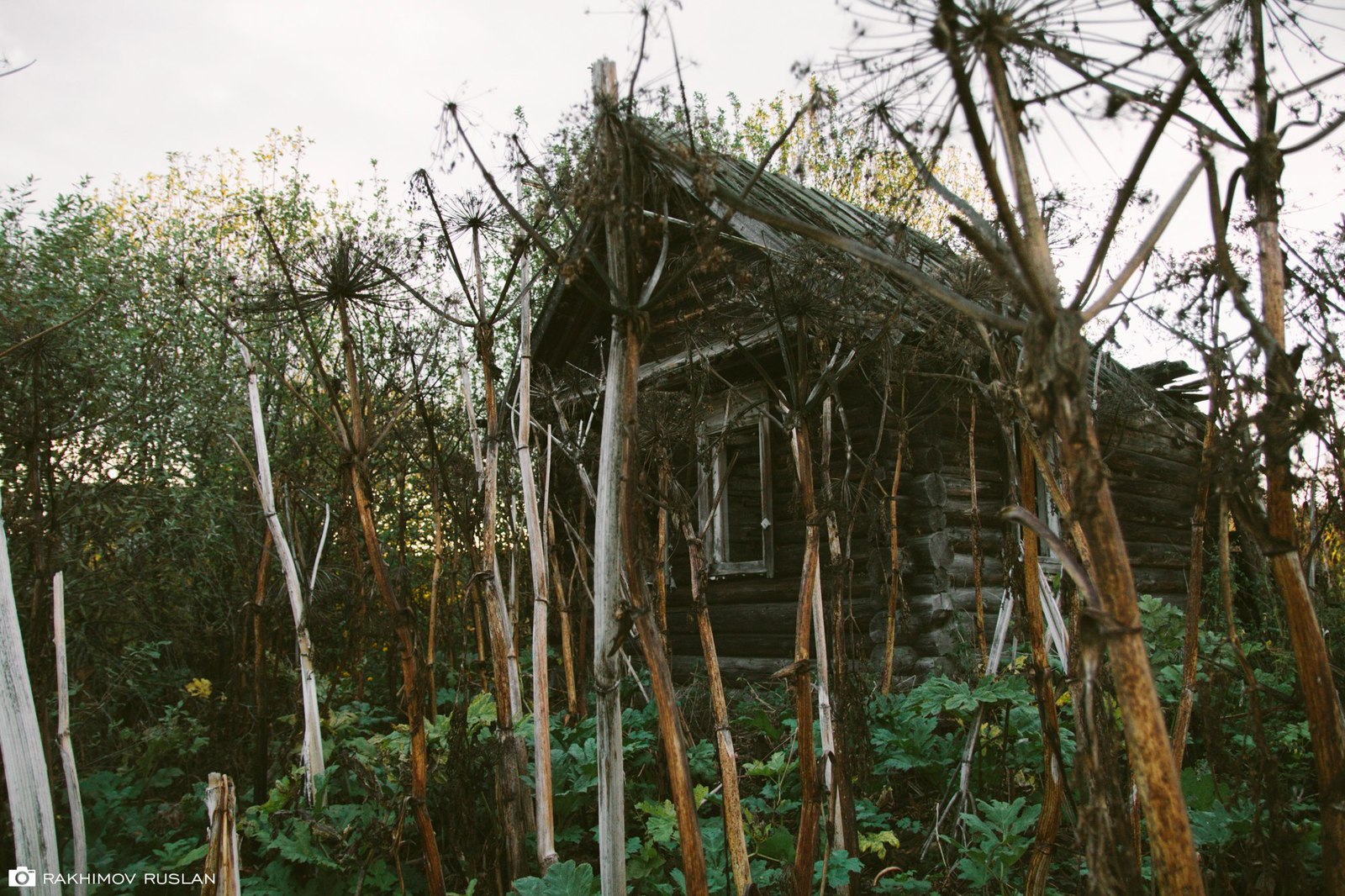 Abandoned houses in the Perm region - My, Russia, The photo, Abandoned, Perm Territory, Village, Longpost