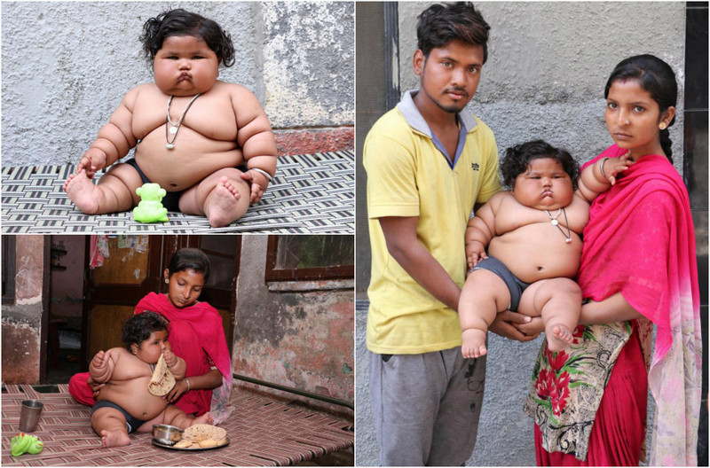 8-month-old girl weighs 17 kilograms, and continues to get fat - Children, Parents, Fatty, Excess weight, Upbringing, India, Girl, Food, Longpost