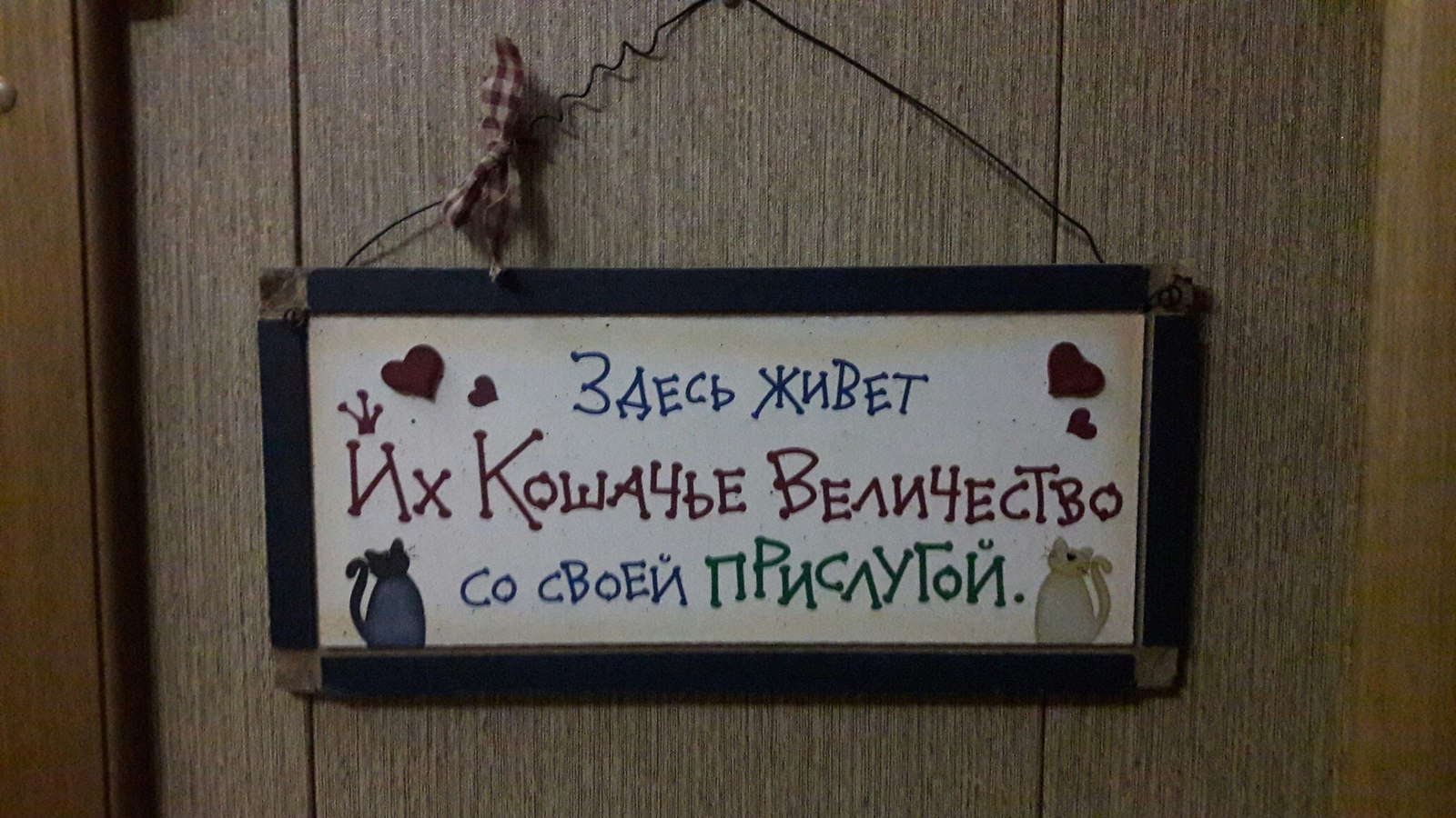 Пушистых оболтусов пост - Моё, Длиннопост, Животные, Фотография, Котомафия, Кот