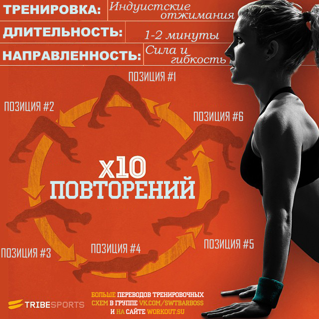 Переводы тренировочных программ от Tribe Sports - Физкультура, Перевод, Тренировка, Streetworkout, Воркаут, Calisthenics, Длиннопост, Tribesports