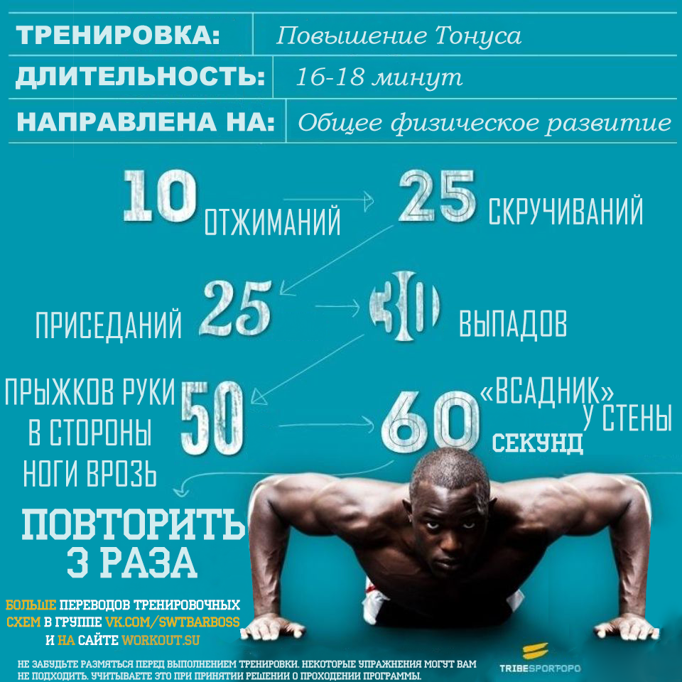 Переводы тренировочных программ от Tribe Sports - Физкультура, Перевод, Тренировка, Streetworkout, Воркаут, Calisthenics, Длиннопост, Tribesports