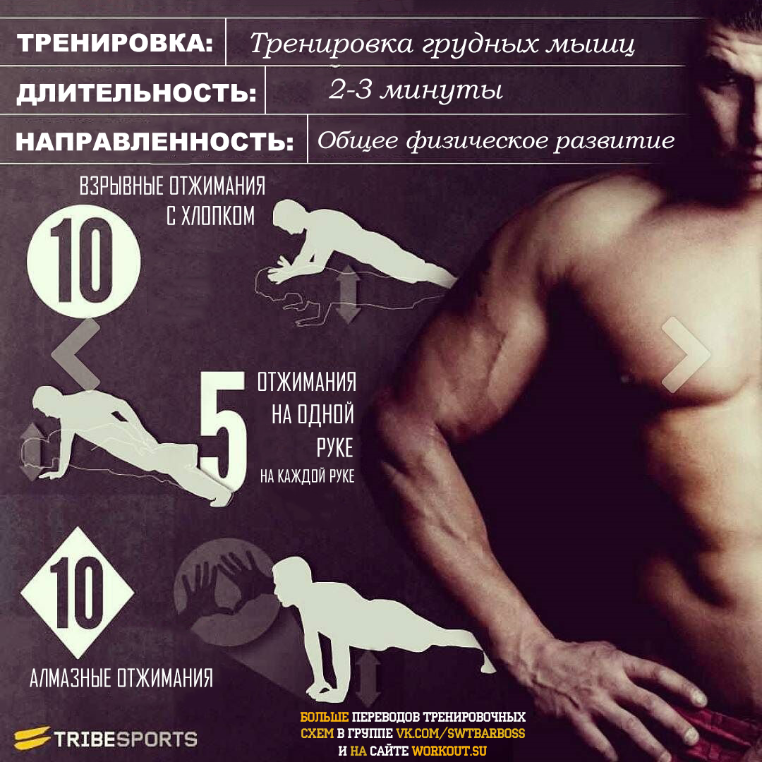 Переводы тренировочных программ от Tribe Sports - Физкультура, Перевод, Тренировка, Streetworkout, Воркаут, Calisthenics, Длиннопост, Tribesports