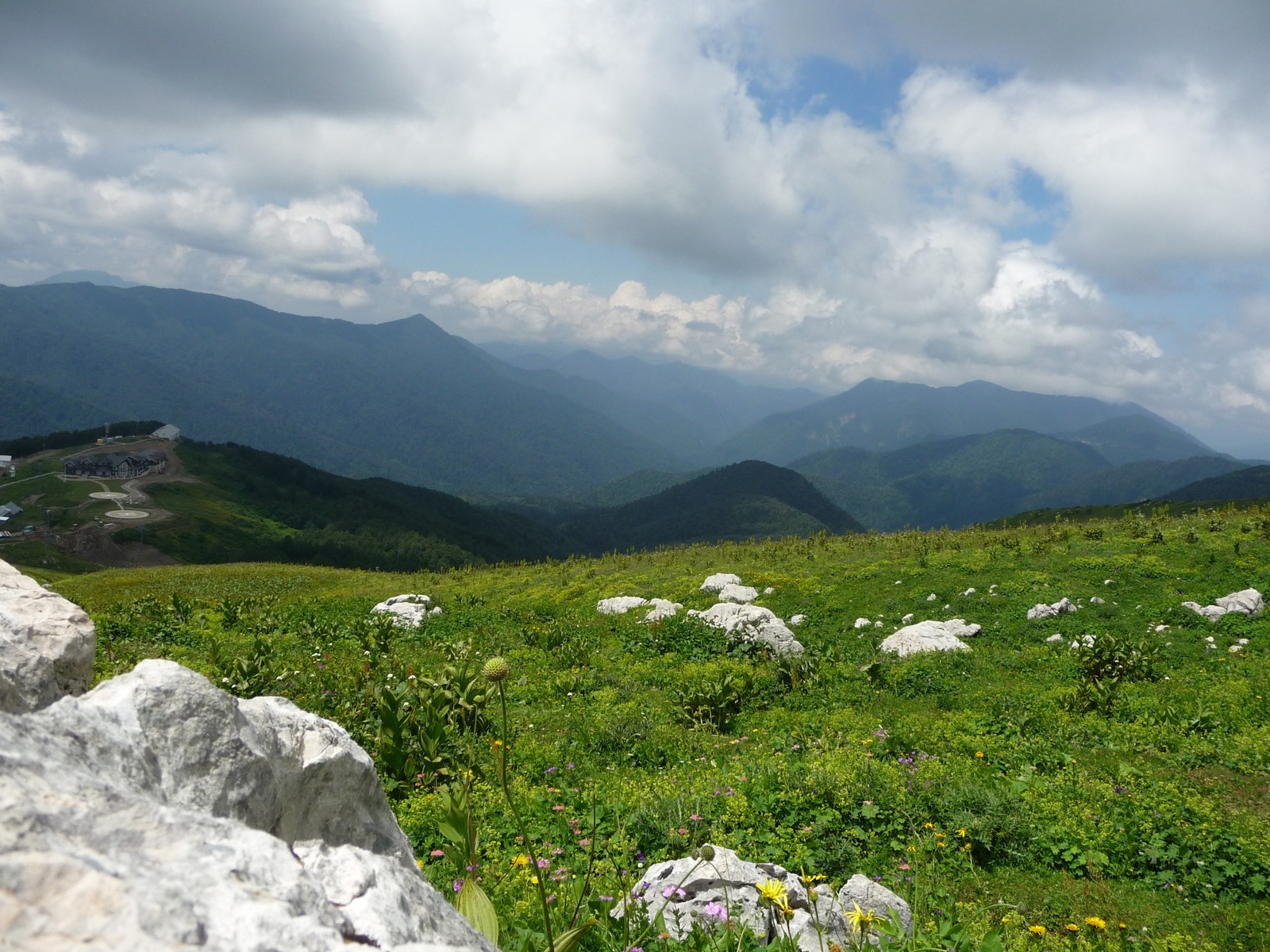 As promised, the surroundings of the foot of Mount Fisht. - My, , cat, , Longpost, Sochi, Tourism, Hike, Nature